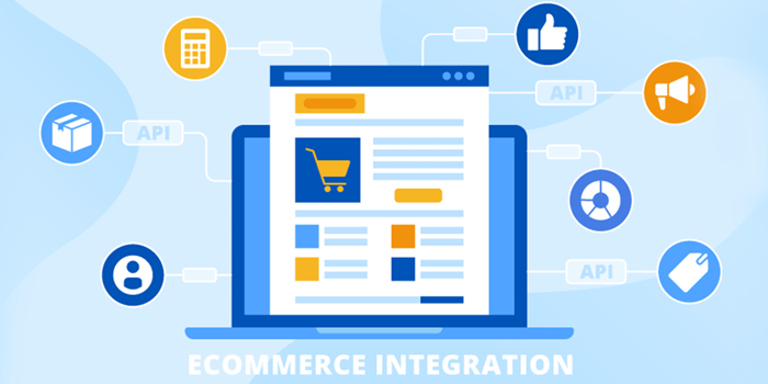 E-commerce and Website Integration Add-On