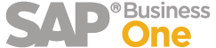 SAP B1 Logo